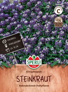 Steinkraut (Duftsteinrich) Königsteppich