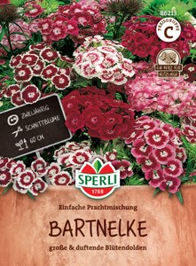 Bartnelke Prachtmischung