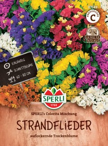 Strandflieder (Statice) Bunte Mischung