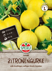 Gurke Lemon (Zitronengurke)