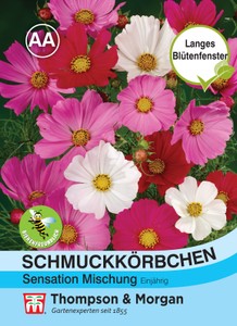 Cosmea Sensation Mischung