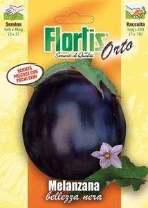 Aubergine Bellezza Nera Aubergine Bellezza Nera
