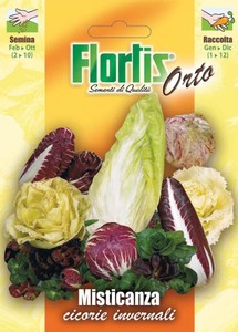 Wintersalatzichorie Mischung Wintersalatzichorie Mischung