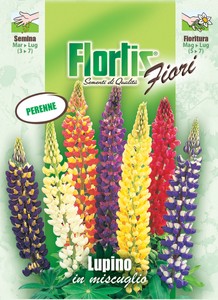 Vielblättrige Lupine Mischung Vielblättrige Lupine Mischung