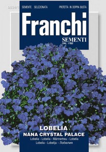 Männertreu Crystal Palace Blau [MHD 06/2024]