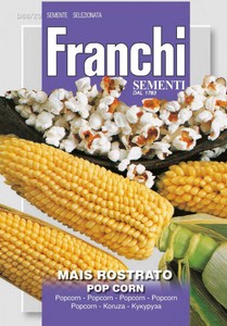 Mais Rostrato Popcorn