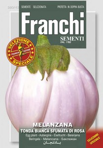 Aubergine Tonda Bianca Sfumata Rosa