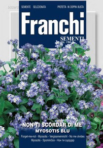 Vergissmeinnicht Myosotis Blu Vergissmeinnicht Myosotis Blu