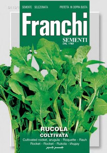 Rucola Coltivata Rucola Coltivata