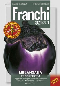 Aubergine Prosperosa Aubergine Prosperosa