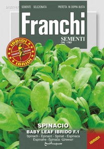 Spinat Baby Leaf Ibrido F1-Hybride