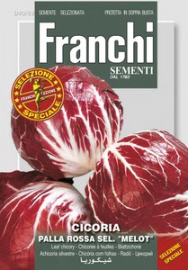 Blattchicorée Palla Rossa Sel. Melot Blattchicorée Palla Rossa Sel. Melot