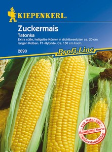 Zuckermais Tatonka F1