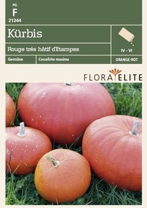 Kürbis Rouge trés hâtif d´Etampes Kürbis Rouge trés hâtif d´Etampes