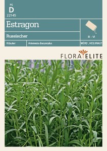 Estragon Russischer