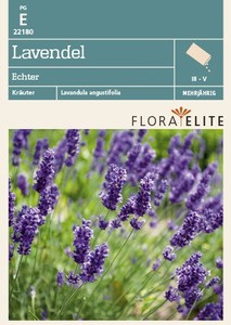 Echter Lavendel Echter Lavendel