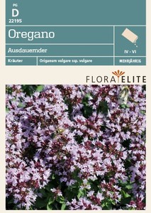 Oregano Ausdauernder Oregano Ausdauernder