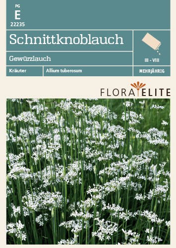Schnittknoblauch Gewürzlauch Schnittknoblauch Gewürzlauch