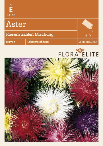 Aster Riesenstrahlen Mischung Aster Riesenstrahlen Mischung