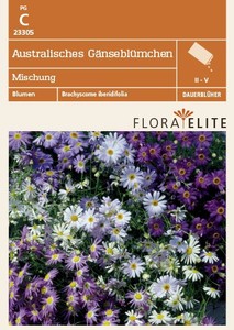 Australisches Gänseblümchen Mischung Australisches Gänseblümchen Mischung