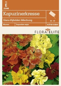 Kapuzinerkresse Glanz-Hybriden Mischung
