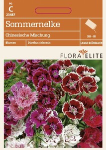 Sommernelke Chinesische Mischung [MHD 06/2021]