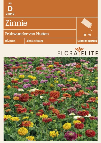 Zinnie Frühwunder von Hutten Zinnie Frühwunder von Hutten