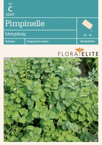 Pimpernelle Mehrjährig [MHD 06/2022]