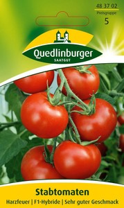 Tomate Harzfeuer F1-Hybride Tomate Harzfeuer F1-Hybride