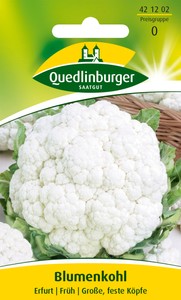 Blumenkohl Erfurt Blumenkohl Erfurt