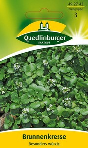 Brunnenkresse Brunnenkresse