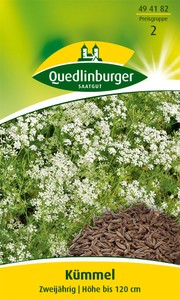 Kümmel