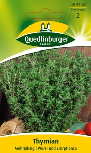 Thymian Deutscher Winter Thymian Deutscher Winter