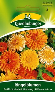 Ringelblume Pazifik Schönheit Mischung