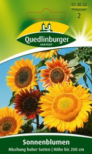Sonnenblume Mischung hoher Sorten Sonnenblume Mischung hoher Sorten