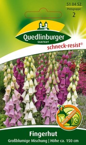 Fingerhut Großblumige Mischung