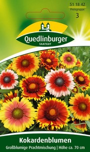 Kokardenblume Großblumige Prachtmischung