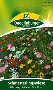 Schmetterlingswiese Insekten-Nektar