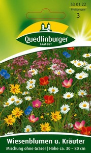 Wiesenblumen u. Kräuter Mischung ohne Gräser [MHD 01/2025]