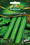 Gewächshausgurken Saturn