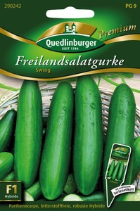 Freilandsalatgurke Swing F1