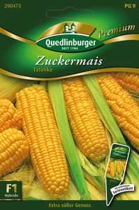 Zuckermais Tatonka F1