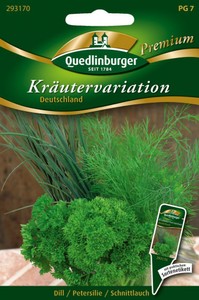 Kräuter Saat-Sortiment - 7 Beliebte Sorten Für Fensterbank