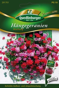 Hängegeranien Mischung