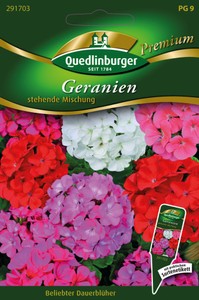 Geranien stehende Mischung