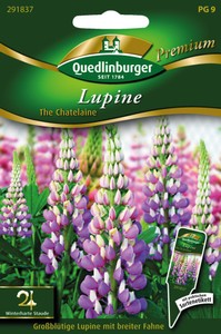 Lupine The Chatelaine [MHD 01/2024]