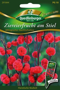 Ziereierfrucht am Stiel