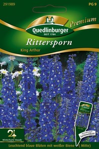 Rittersporn King Arthur