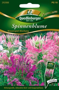 Spinnenblume Wasserspiel Mischung Spinnenblume Wasserspiel Mischung