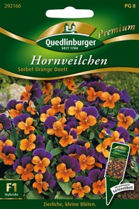 Hornveilchen Sorbet Orange Duett